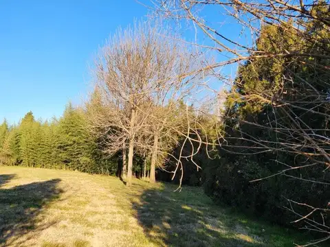 Altos de Manzanares