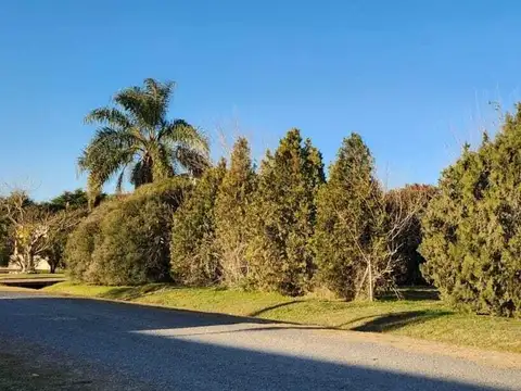 Terreno en Venta en Altos De Manzanares, USD 45.000