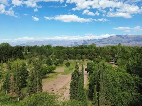 Terreno en Venta en Vistalba, USD 25.000