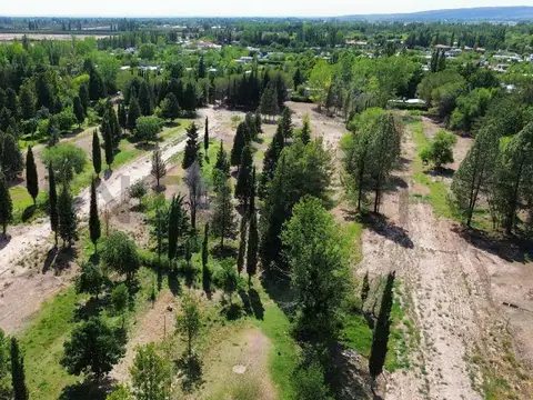 Callejon de la Virgen s/n , Piso 0