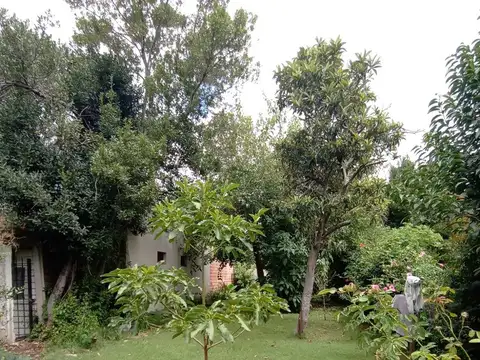 134 e/ 56 y 67 1100