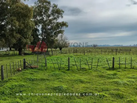 Campo Mixto 207 ha c/Sistema Voisin – Gral Las Heras, BS AS
