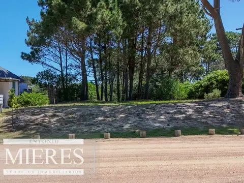 lote en Pinar del faro Jose Ignacio 