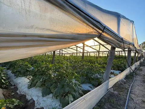 Chacra en Colonia 18 de Julio, Salto