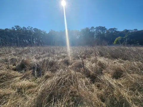 Palacios y Circunvalación