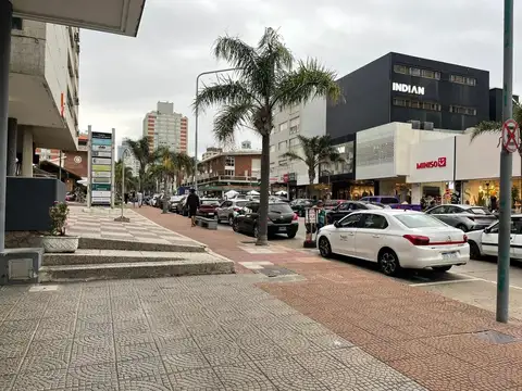 Alquiler anual local sobre Avenida Gorlero 