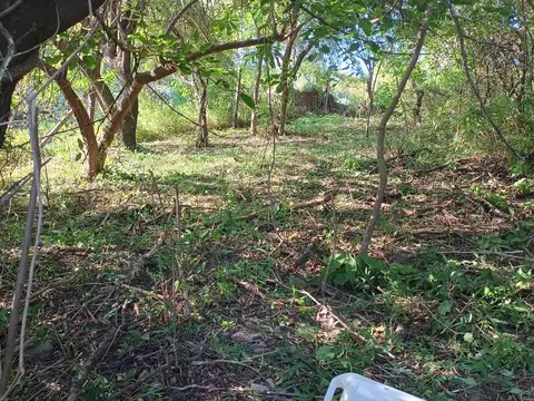 Loa Caranchos 300