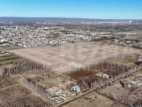 VENTA LOTE RESIDENCIAL  B° GRAN ALAMEDA CIPOLLETTI