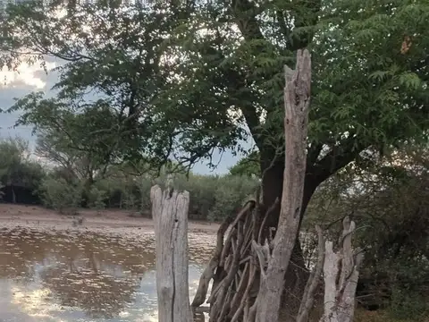 CAMPO GANADERO CON AGUA