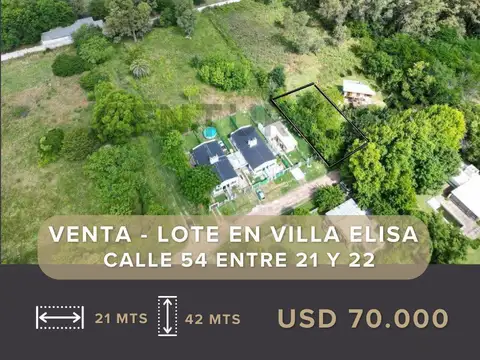 Venta de Lote Villa Elisa