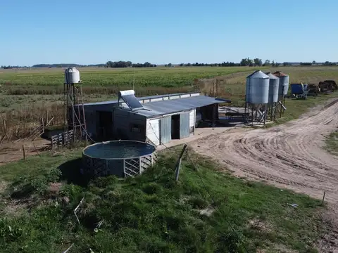 Fondo de comercio: Tambo en Monte