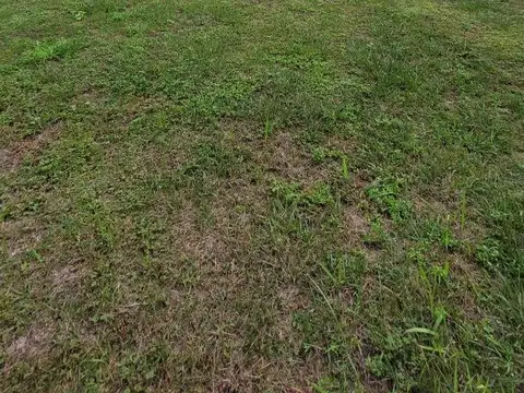 Terreno en San Luis