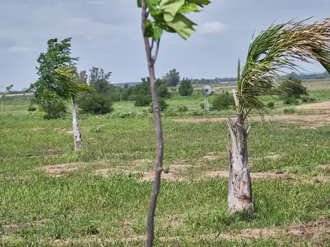 Terreno en Venta de 1000,0 m2