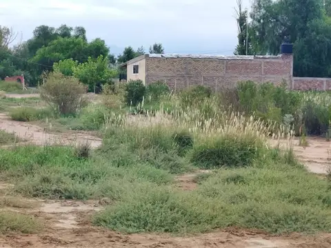 Terreno en Venta de 45954,0 m2