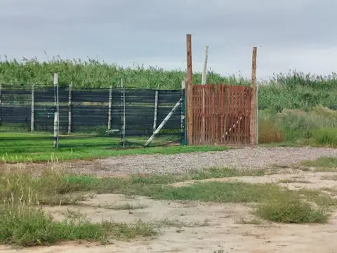 Terreno en Venta de 45954,0 m2