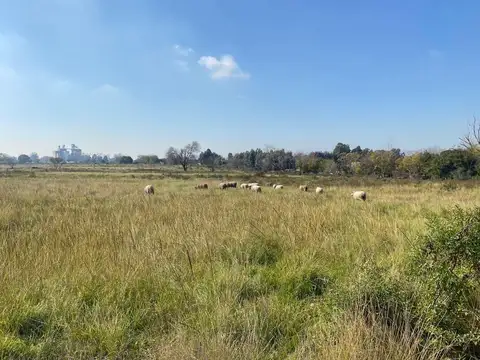 Terreno en Venta en Zelaya, USD 25.000