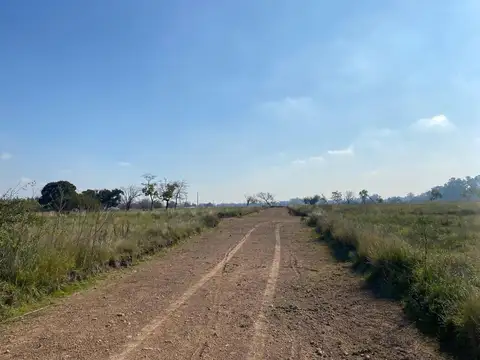 Nueva Zelaya 3 1000