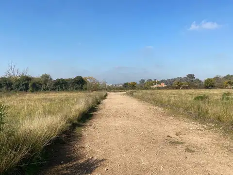 Nueva Zelaya 3 1000