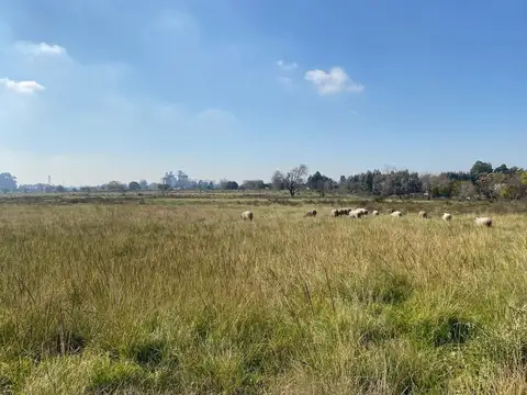 Terreno en Venta en Nueva Zelaya 3