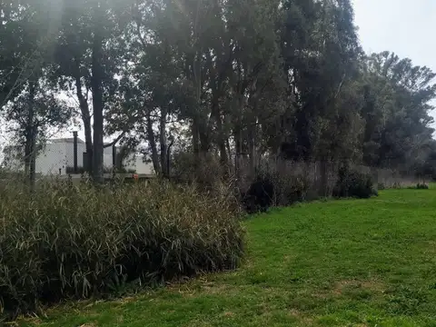 Terreno en Venta 56  mts Fondo