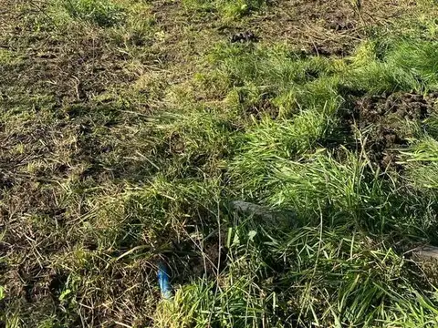 Terreno en Venta 28  mts Fondo