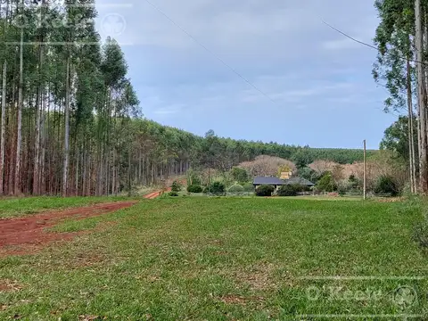 Campo en venta de 561 has en Virasoro, Corrientes