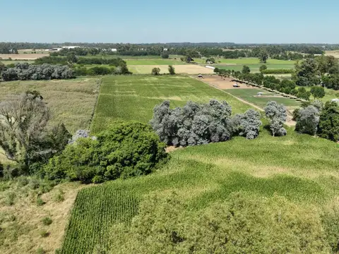 4 Has. Chacra sobre Ruta en Carlos Keen