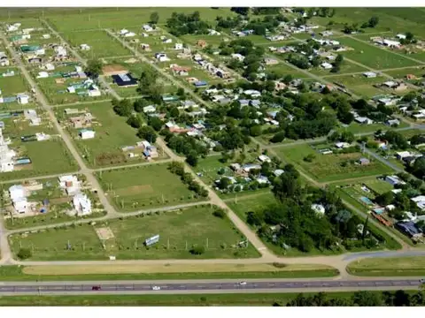 EL NOGAL TIERRA DE SUEÑOS ALVEAR