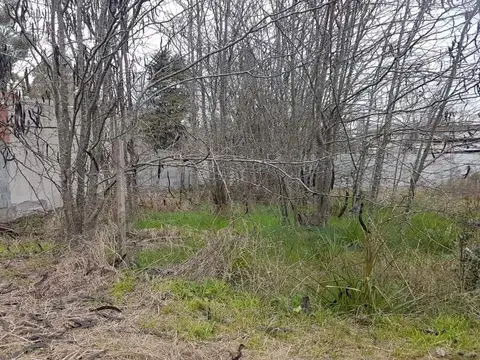 Terreno en Venta de 217,0 m2