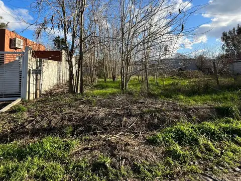 25 bis Entre 429 y 430 , Piso 0