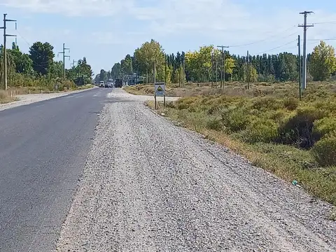 TERRENO APTO INDUSTRIA, 6,13 HAS sobre RP 69 y RP 7, VACA MUERTA
