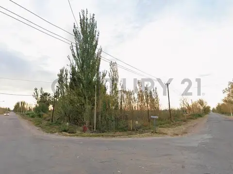VENTA TERRENO 2H - IDEAL CULTIVO
