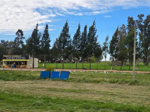 Ruta Provincial  Nº 2 Km 109 CHASCOMÚS