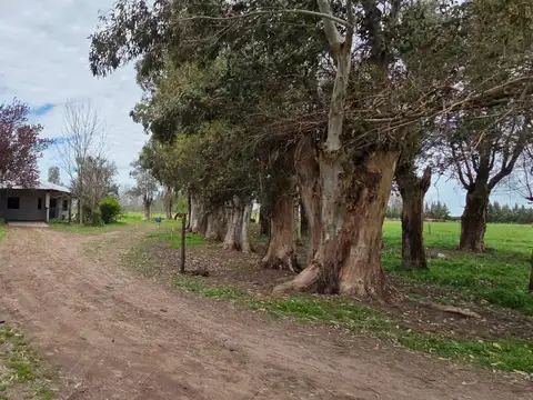 CAMPO EN VENTA SOBRE RUTA 2 CHASCOMUS