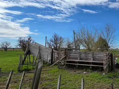 CAMPO EN VENTA SOBRE RUTA 2 CHASCOMUS