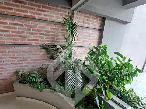 Departamento en Alquiler al Noreste