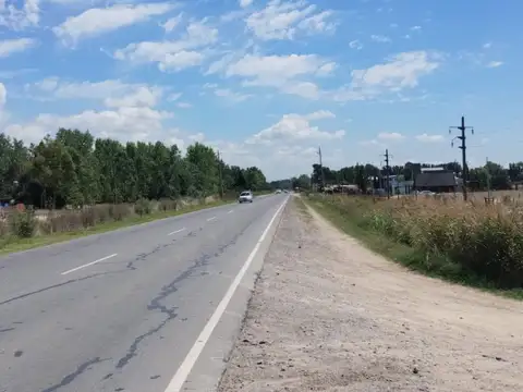 Terreno - Venta - Argentina, Domselaar