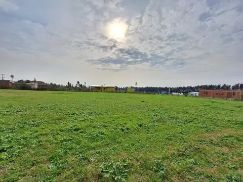 Terreno en Venta de 2005,0 m2