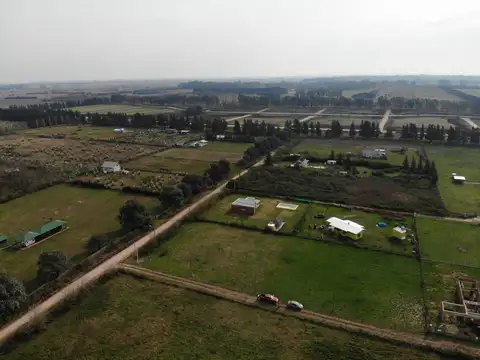 Terreno en Venta de 2005,0 m2