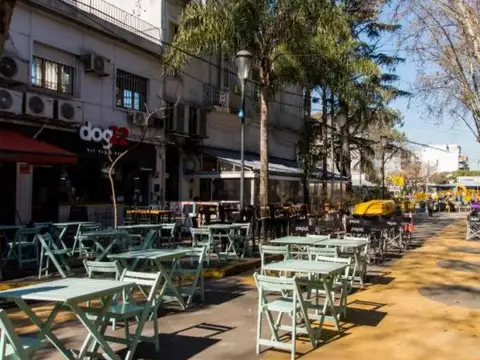 Terreno en Venta 39  mts Fondo