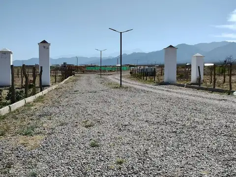 Terreno en Venta en Lujan de Cuyo, Luján de Cuyo