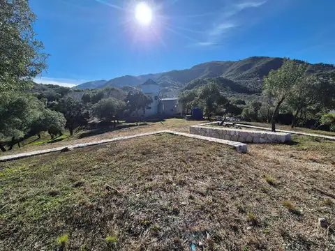 Santa Teresa 2000