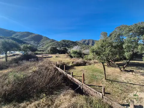 Santa Teresa 2000