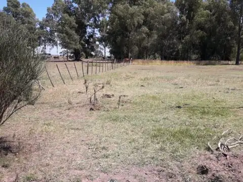 Terreno en venta - 1.500Mts2 - Olavarría