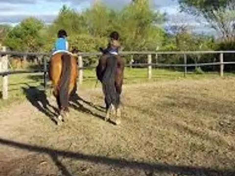 Terreno en Venta de 2700,0 m2