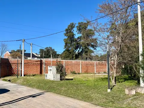 44 y 161