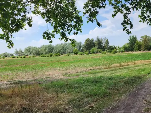 Campo sobre ruta 41, con chalet de dos dormitorios