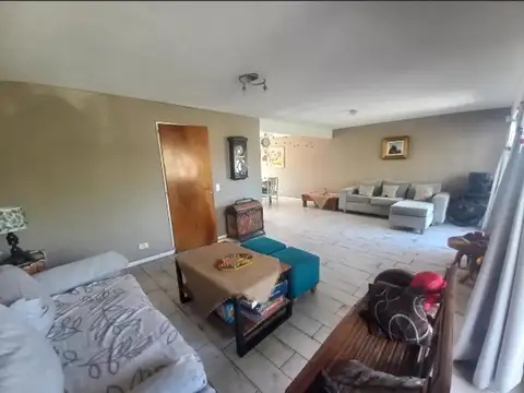 Colectora panamericana 300