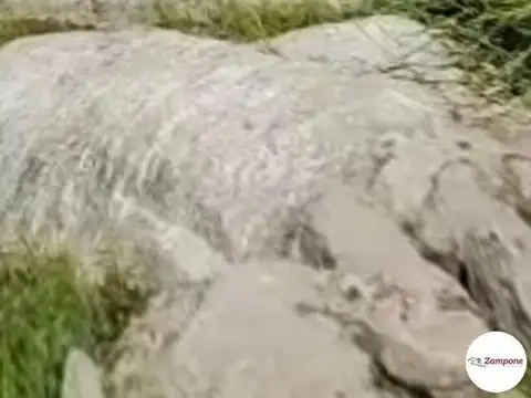 Terreno en Venta de 468,0 m2