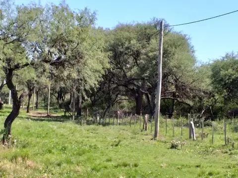 Terreno en Venta de 1400,0 m2